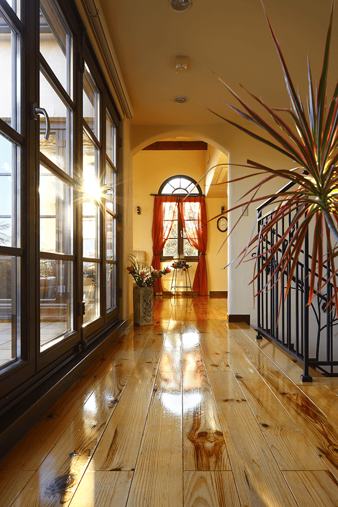 南国風の中庭と大開口窓が特徴の注文住宅-2